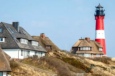 Strandappartement Dünenliebe