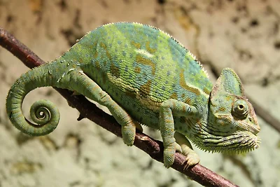 Spar Apartment mit 1 Schlafzimmer