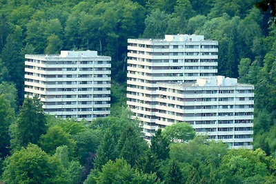 Vakantieappartement Gezinsvakantie Bad Harzburg