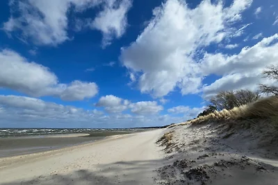 Ferienwohnung Oskar DH-42986