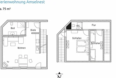 Amselnest
