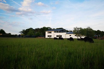 Vakantieappartement Gezinsvakantie Elsterheide