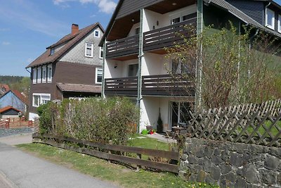 Vakantieappartement Gezinsvakantie Clausthal-Zellerfeld