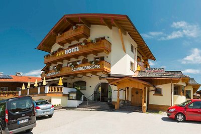 Hotel Culturas y visitas Wildschönau