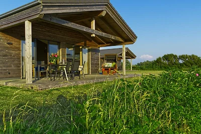 Albergo Cultura ed escursioni Pellworm