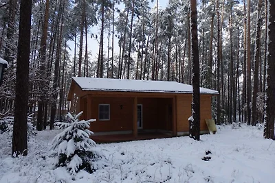 Ferienhaus 8
