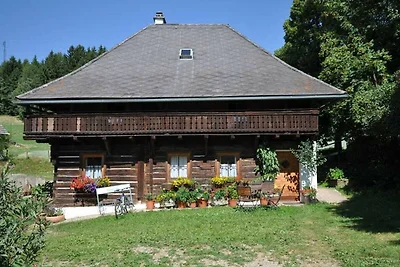 Holiday flat family holiday Sankt Veit an der Glan