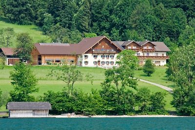 Vakantieappartement Gezinsvakantie Steinbach am Attersee