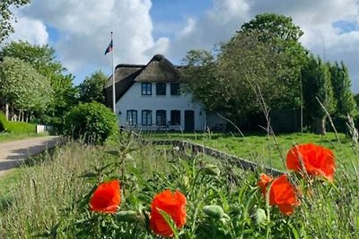 Vakantieappartement Gezinsvakantie Midlum