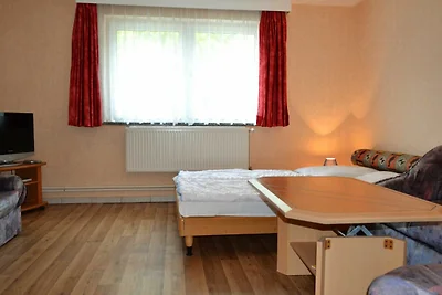Grauer Esel E2