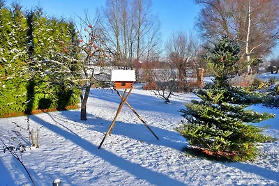 Vakantieappartement Gezinsvakantie Stralsund