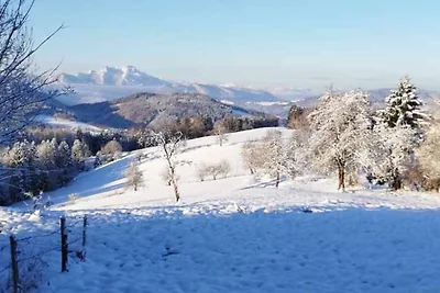 Casa vacanze Vacanza di relax Weyregg am Attersee