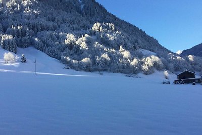 Vakantieappartement Gezinsvakantie Au in Vorarlberg