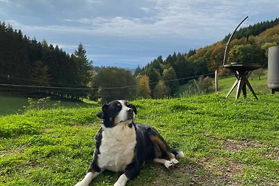 Vakantieappartement Gezinsvakantie Schuttertal