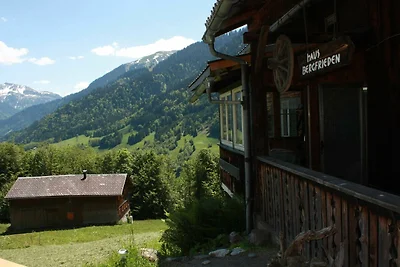 Casa vacanze Vacanza di relax Au in Vorarlberg