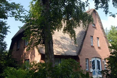 Haus Karpfenteich Whg 04