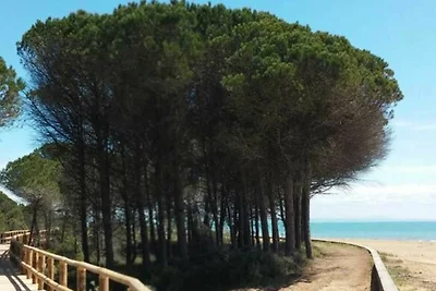 Vakantieappartement Gezinsvakantie Caerano di San Marco