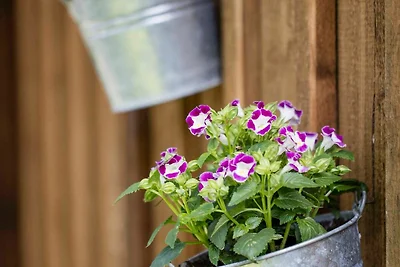 geräumiges Doppelzimmer mit Balkon
