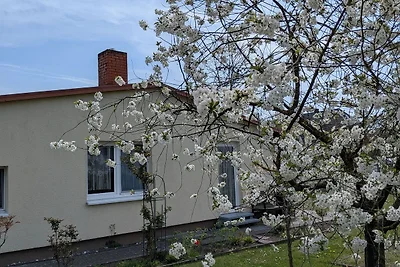Ferienhaus Weinhold