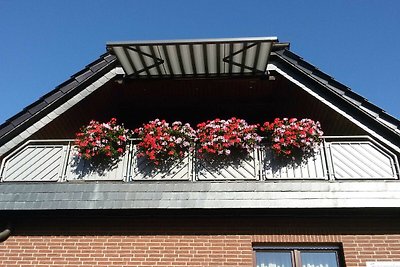 Ferienwohnung****/Ankerplatz