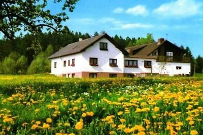 Hotel Cultuur en bezienswaardigheden Miltenberg