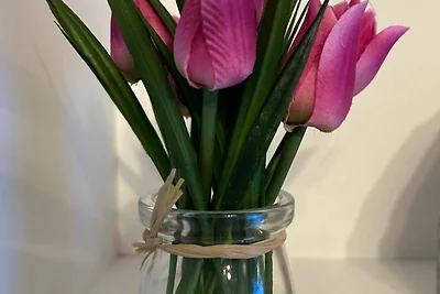 HeikenBergs Ferienhaus