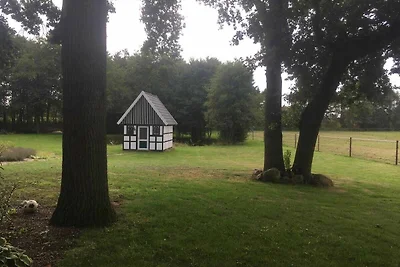 Weideblick