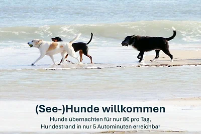 Vakantieappartement Gezinsvakantie Peenemünde