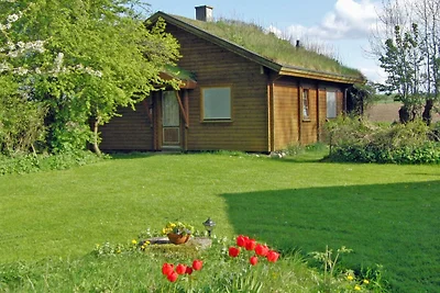 Ferienhaus Hof Dammhahl