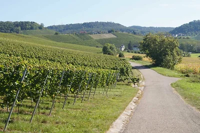 Ferienwohnung Riesling