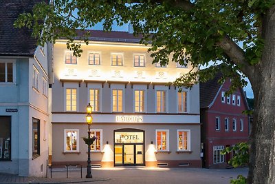 Hotel Cultuur en bezienswaardigheden Neder-Franken