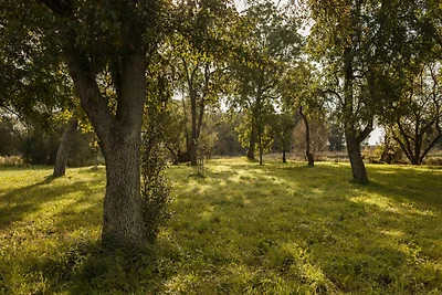 Slot/Kasteel Vakantieparken en clubs Poseritz