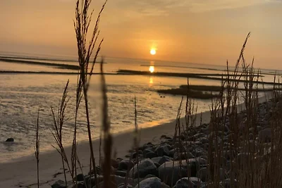 Heckermann Wenningstedt