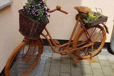 Vakantieappartement Gezinsvakantie Senftenberg