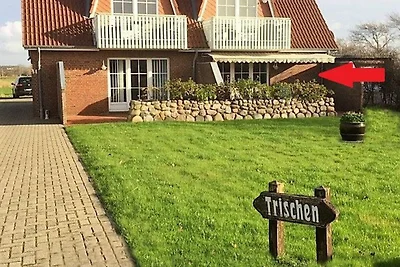 Haus Friesenperle Whg 01