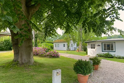 Bungalow 3, 2-Raum, 35 m², Terrasse, Seeblick