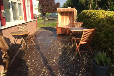 Strandhafer (Vorbau - links )