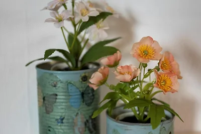 Albergo Cultura ed escursioni Bad Dürrheim