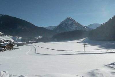 Vakantieappartement Gezinsvakantie Au in Vorarlberg