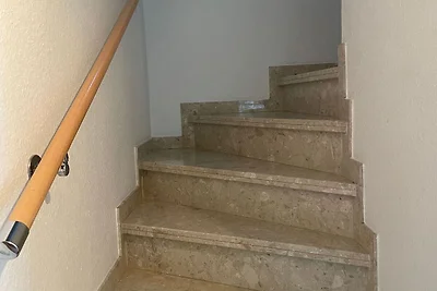 Dangastperle
