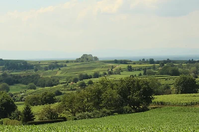 Vakantieappartement Gezinsvakantie Friesenheim