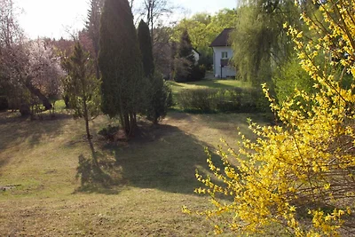 Appartamento Vacanza con famiglia Bad Dürrheim
