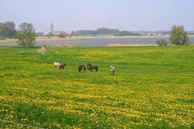 Ferienhaus Bohne