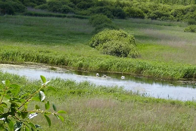 Ferienwohnung Am Recknitzhang