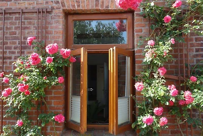 Ferienhaus Wolthuser Warf III