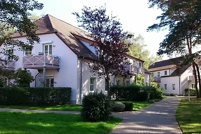 hotel Kultura & zwiedzanie Dierhagen