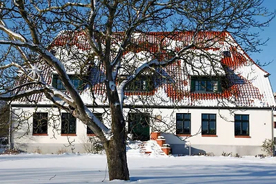 Rosenzimmer