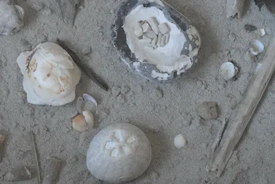 Appartamento Vacanza con famiglia Brodersby
