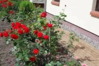 Ferienwohnung