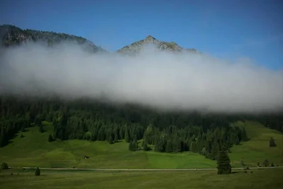Vakantieappartement Gezinsvakantie Nesselwängle